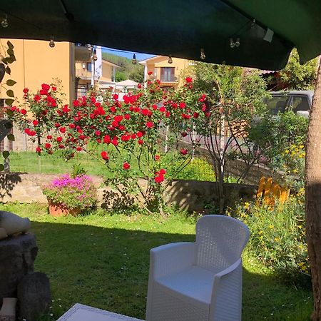 B&B Anna Bolsena Zewnętrze zdjęcie