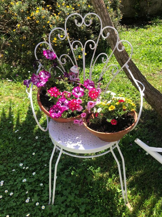 B&B Anna Bolsena Zewnętrze zdjęcie