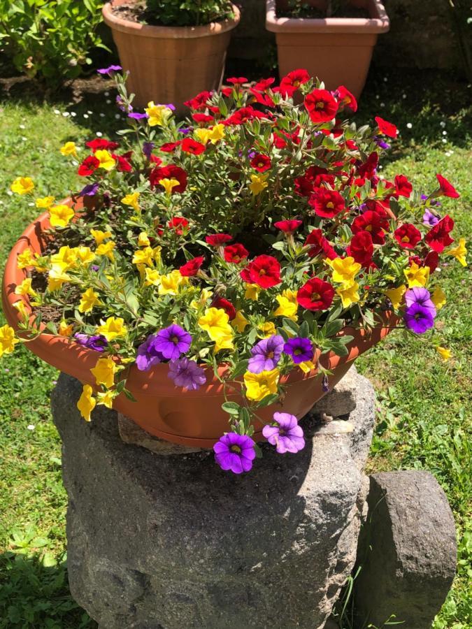 B&B Anna Bolsena Zewnętrze zdjęcie